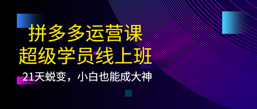 拼多多运营课：超级学员线上班，21天蜕变，小白也能成大神阿朗网创吧-网创项目资源站-副业项目-创业项目-搞钱项目阿朗网创吧
