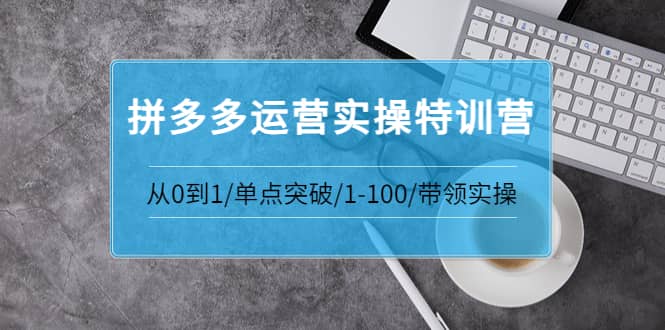 拼多多运营实操特训营：从0到1/单点突破/1-100/带领实操 价值2980元阿朗网创吧-网创项目资源站-副业项目-创业项目-搞钱项目阿朗网创吧