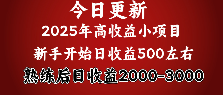 好项目一眼就能看出来，日收益1000，长久可做，2025拼的就是我比你勤奋阿朗网创吧-网创项目资源站-副业项目-创业项目-搞钱项目阿朗网创吧