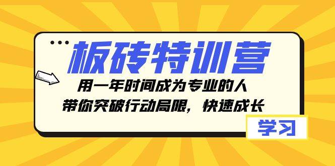 板砖特训营，用一年时间成为专业的人，带你突破行动局限，快速成长阿朗网创吧-网创项目资源站-副业项目-创业项目-搞钱项目阿朗网创吧