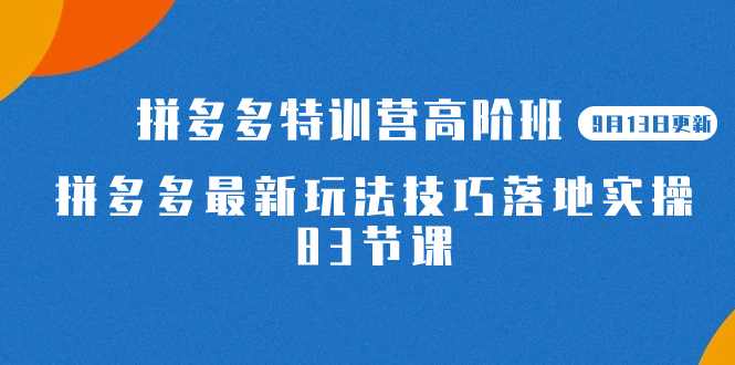 2023拼多多·特训营高阶班【9月13日更新】拼多多最新玩法技巧落地实操-83节阿朗网创吧-网创项目资源站-副业项目-创业项目-搞钱项目阿朗网创吧