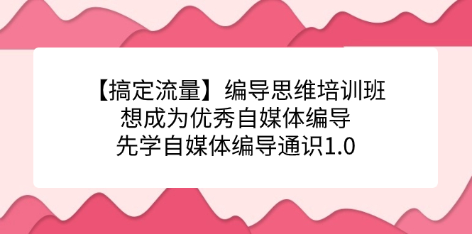 【搞定流量】编导思维培训班，想成为优秀自媒体编导先学自媒体编导通识1.0阿朗网创吧-网创项目资源站-副业项目-创业项目-搞钱项目阿朗网创吧
