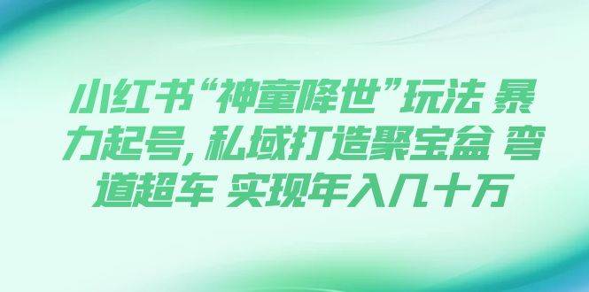 小红书“神童降世”玩法 暴力起号,私域打造聚宝盆 弯道超车 实现年入几十万阿朗网创吧-网创项目资源站-副业项目-创业项目-搞钱项目阿朗网创吧