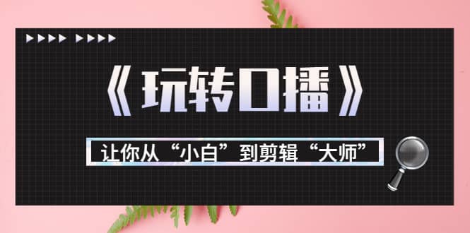 月营业额700万+大佬教您《玩转口播》让你从“小白”到剪辑“大师”阿朗网创吧-网创项目资源站-副业项目-创业项目-搞钱项目阿朗网创吧