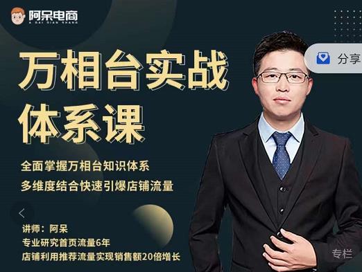 阿呆-万相台实战体系课，帮您全面掌握万相台知识体系阿朗网创吧-网创项目资源站-副业项目-创业项目-搞钱项目阿朗网创吧