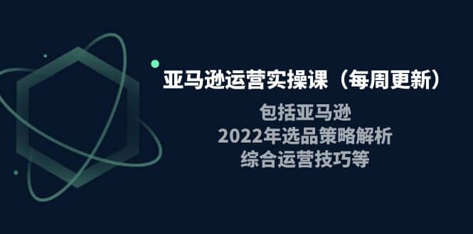 亚马逊运营实操课（每周更新）包括亚马逊2022选品策略解析，综合运营技巧等阿朗网创吧-网创项目资源站-副业项目-创业项目-搞钱项目阿朗网创吧