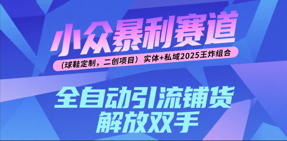 楠—小众暴利赛道（球鞋定制，二创项目）实体+私域2025王炸组合阿朗网创吧-网创项目资源站-副业项目-创业项目-搞钱项目阿朗网创吧