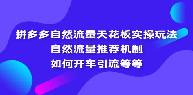 拼多多自然流量天花板实操玩法：自然流量推荐机制，如何开车引流等等阿朗网创吧-网创项目资源站-副业项目-创业项目-搞钱项目阿朗网创吧