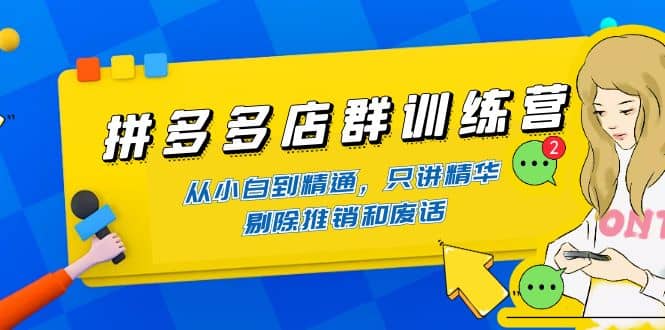 拼多多店群训练营：从小白到精通，只讲精华，剔除推销和废话阿朗网创吧-网创项目资源站-副业项目-创业项目-搞钱项目阿朗网创吧