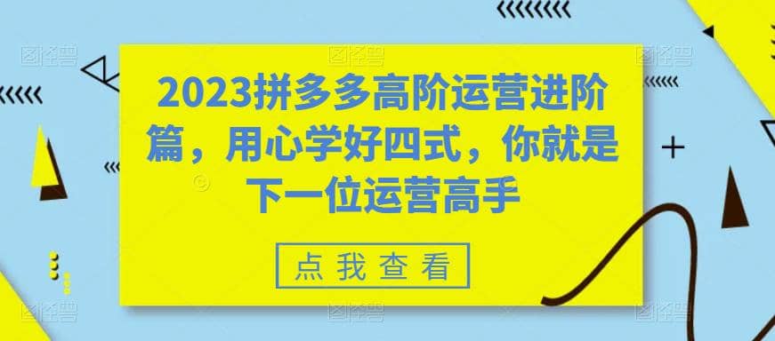 2023拼多多高阶运营进阶篇，用心学好四式，你就是下一位运营高手阿朗网创吧-网创项目资源站-副业项目-创业项目-搞钱项目阿朗网创吧