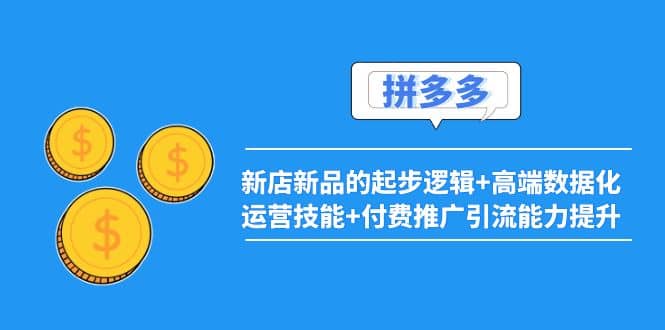 2022拼多多：新店新品的起步逻辑+高端数据化运营技能+付费推广引流能力提升网创吧-网创项目资源站-副业项目-创业项目-搞钱项目阿朗网创吧