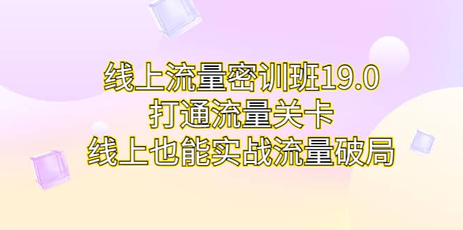 线上流量密训班19.0，打通流量关卡，线上也能实战流量破局阿朗网创吧-网创项目资源站-副业项目-创业项目-搞钱项目阿朗网创吧