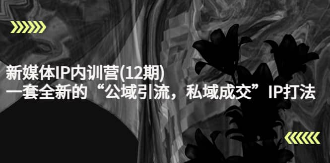 新媒体IP内训营(12期)，一套全新的“公域引流，私域成交”IP打法，直接带走阿朗网创吧-网创项目资源站-副业项目-创业项目-搞钱项目阿朗网创吧