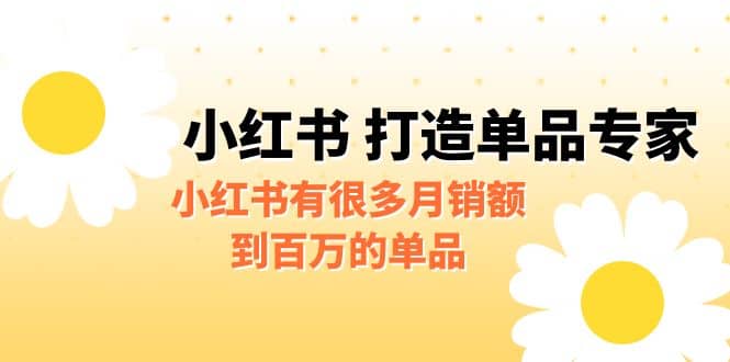 某公众号付费文章《小红书 打造单品专家》小红书有很多月销额到百万的单品阿朗网创吧-网创项目资源站-副业项目-创业项目-搞钱项目阿朗网创吧