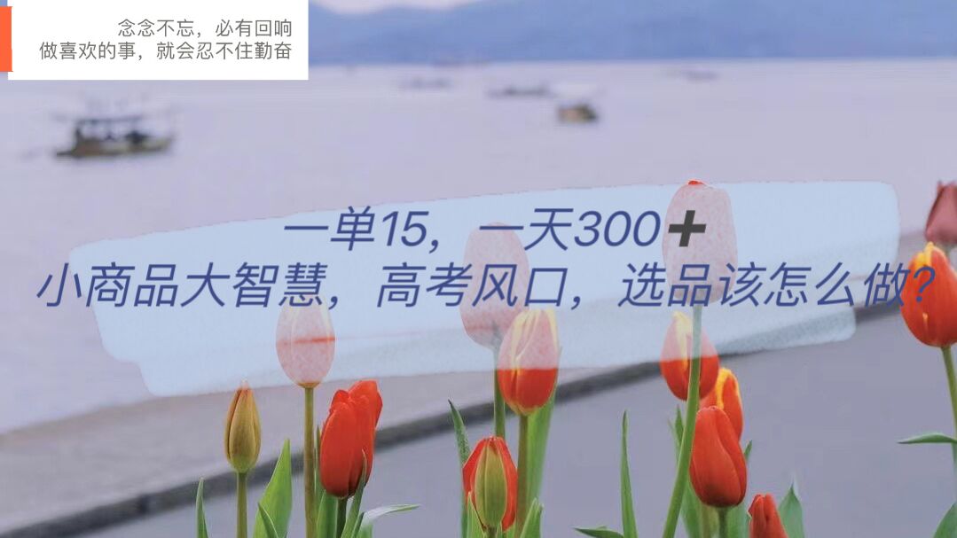 一单15，一天300+，小商品大智慧，高考风口，选品该怎么布局阿朗网创吧-网创项目资源站-副业项目-创业项目-搞钱项目阿朗网创吧