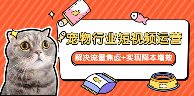 宠物/行业短视频运营 流量增长的一层窗户纸 解决流量焦虑+实现降本增效阿朗网创吧-网创项目资源站-副业项目-创业项目-搞钱项目阿朗网创吧