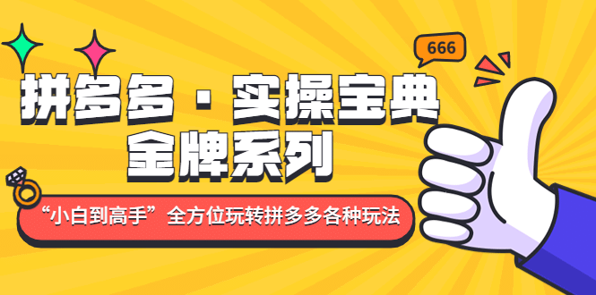 拼多多·实操宝典：金牌系列“小白到高手”带你全方位玩转拼多多各种玩法阿朗网创吧-网创项目资源站-副业项目-创业项目-搞钱项目阿朗网创吧