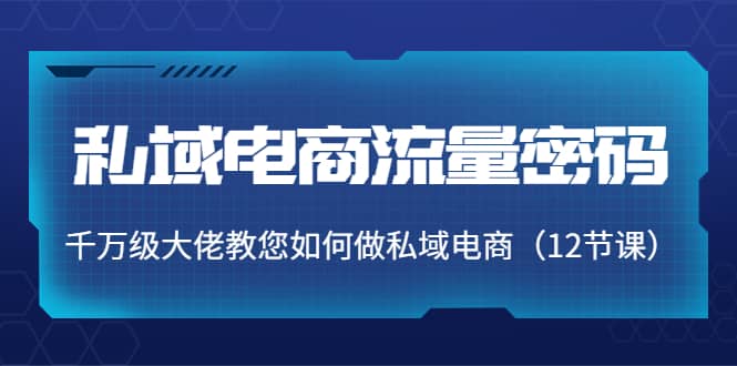 私域电商流量密码：千万级大佬教您如何做私域电商（12节课）阿朗网创吧-网创项目资源站-副业项目-创业项目-搞钱项目阿朗网创吧