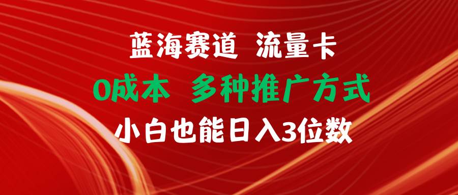 蓝海赛道 流量卡 0成本 小白也能日入三位数网创吧-网创项目资源站-副业项目-创业项目-搞钱项目阿朗网创吧