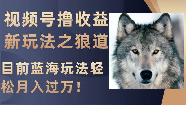 视频号撸收益新玩法之狼道，目前蓝海玩法轻松月入过万！阿朗网创吧-网创项目资源站-副业项目-创业项目-搞钱项目阿朗网创吧