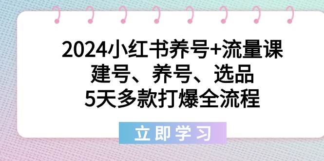 2024小红书养号+流量课：建号、养号、选品，5天多款打爆全流程阿朗网创吧-网创项目资源站-副业项目-创业项目-搞钱项目阿朗网创吧